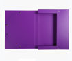 Picture of EXACOMPTA BOX FILES 25MM
